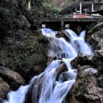 images (37)
